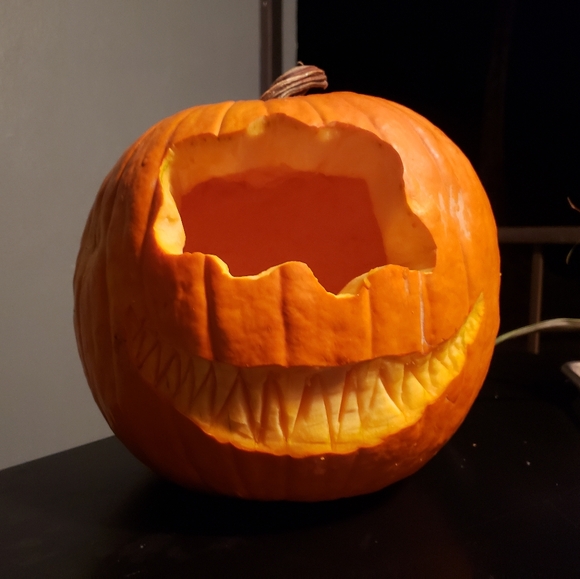 Meet your Posher, Anne - Picture 4 of 5